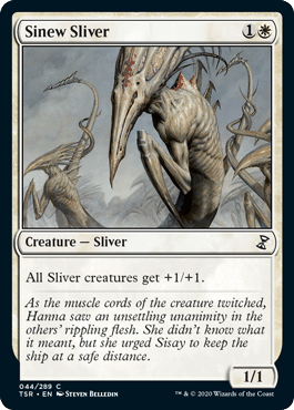 sinew sliver