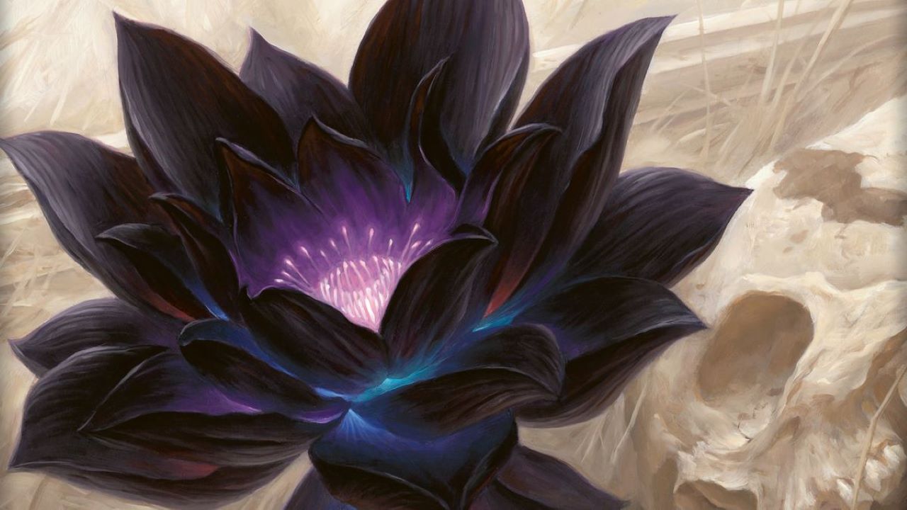 black-lotus-