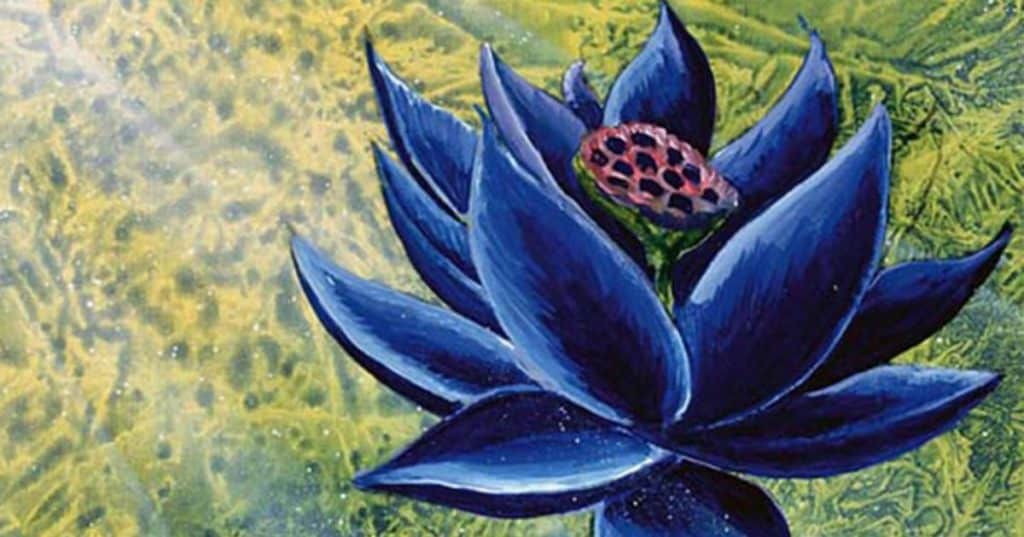 Black Lotus Alpha