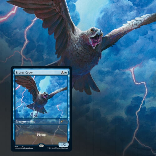 storm-crow