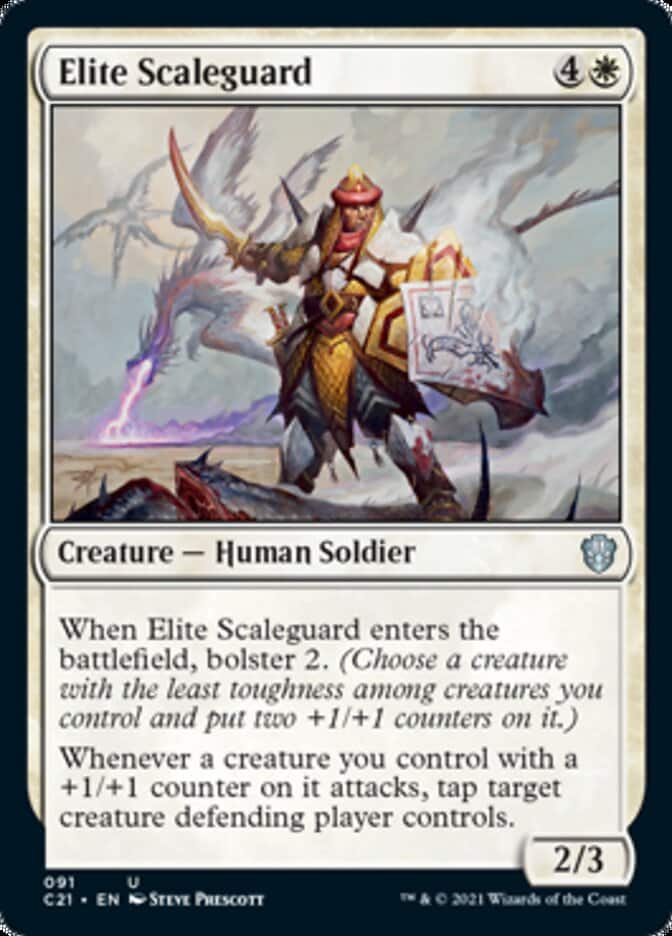 c21-91-elite-scaleguard