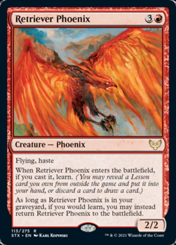 stx-113-retriever-phoenix