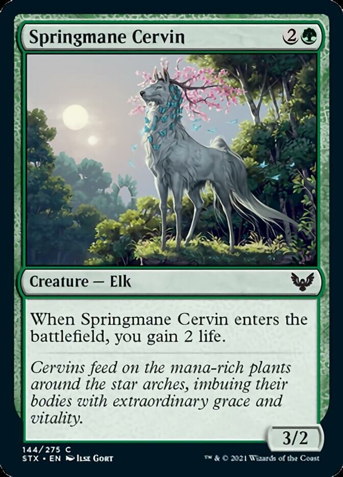 stx-144-springmane-cervin