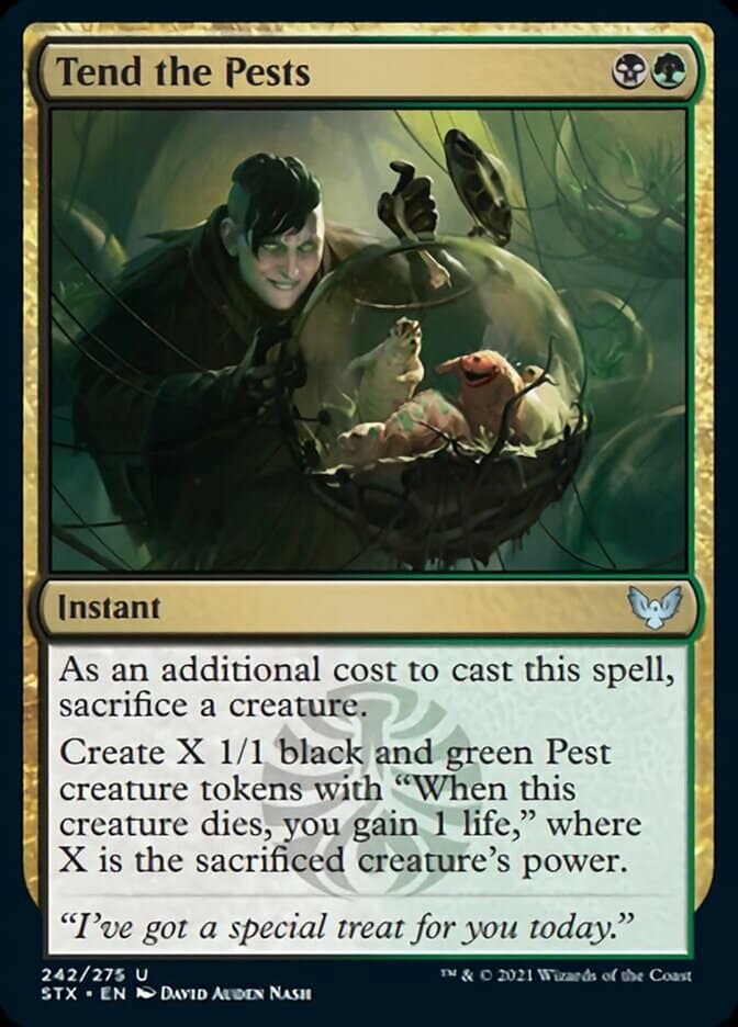 stx-242-tend-the-pests