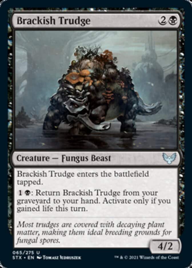 stx-65-blrackish-trudge