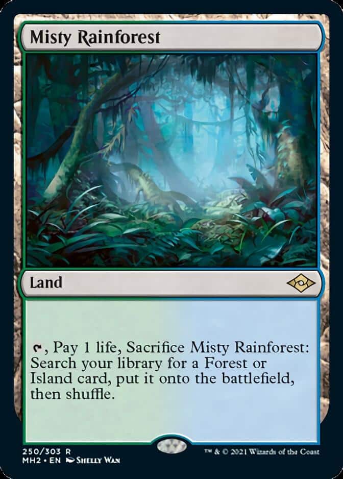 Misty-Rainforest-MH2-672