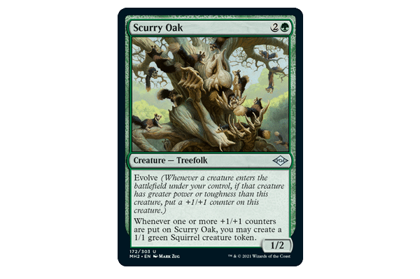 scurry-oak