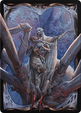 spider-queen-sleve