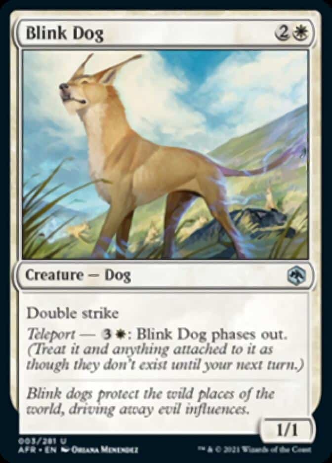 Blink Dog AFR 3