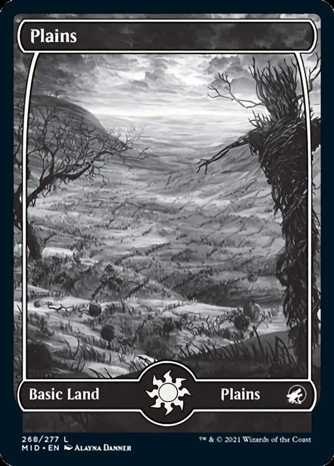 Plains-268-Eternal Night