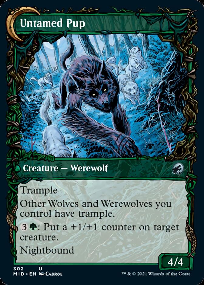 Untamed-Pup-showcase-MID