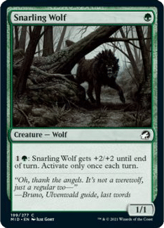 magic-the-gathering-innistrad-midnight-hunt-spoilers-snarling-wolf-580x326