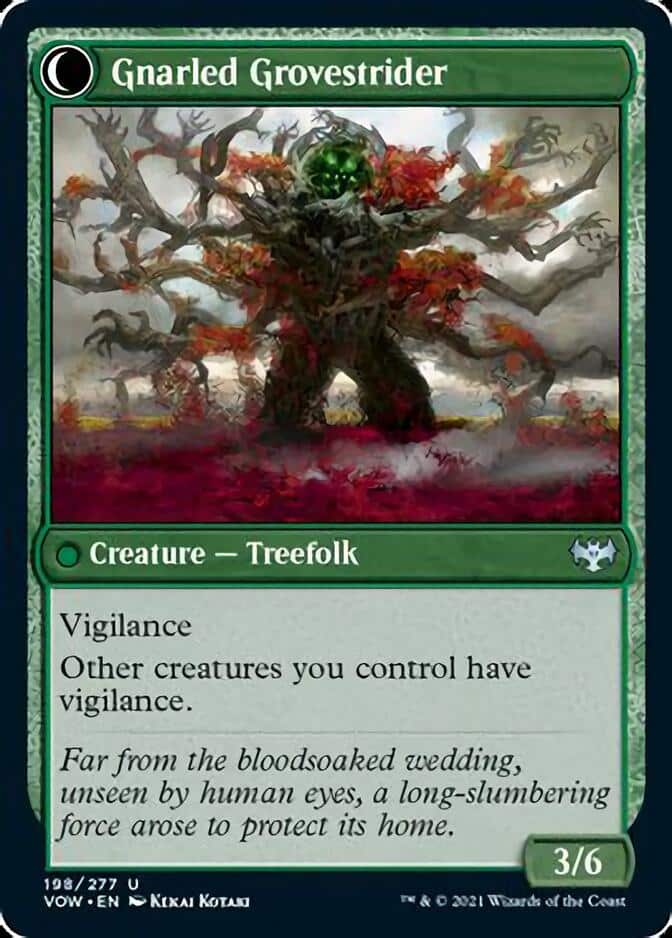 Gnarled-Grovestrider-VOW