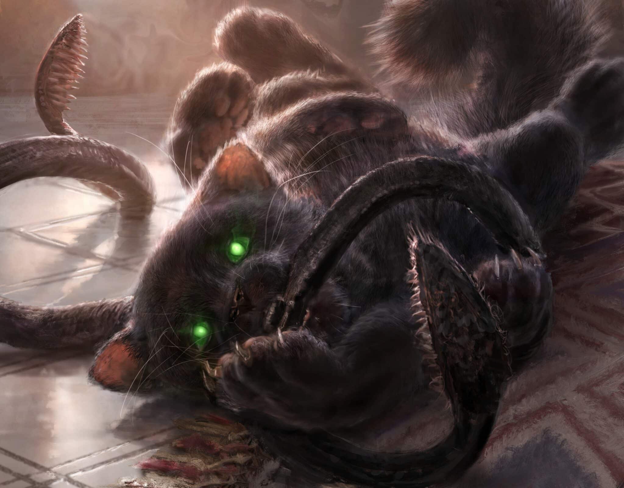 displacer kitten