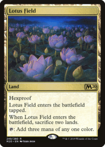 lotus field