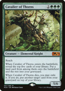 cavalier of thorns