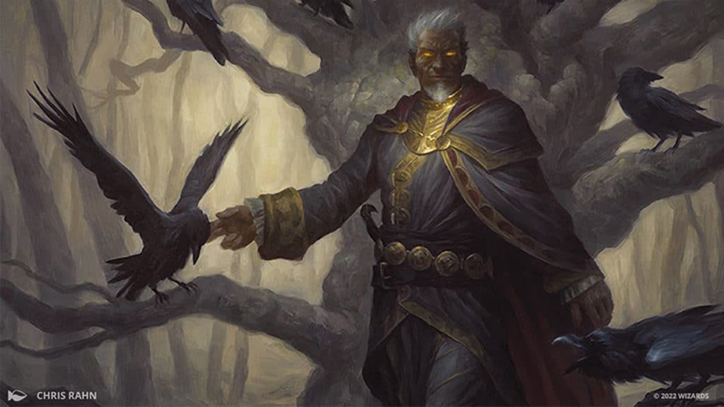 The Raven Man