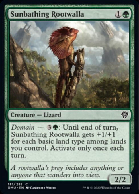 sunbathing rootwalla