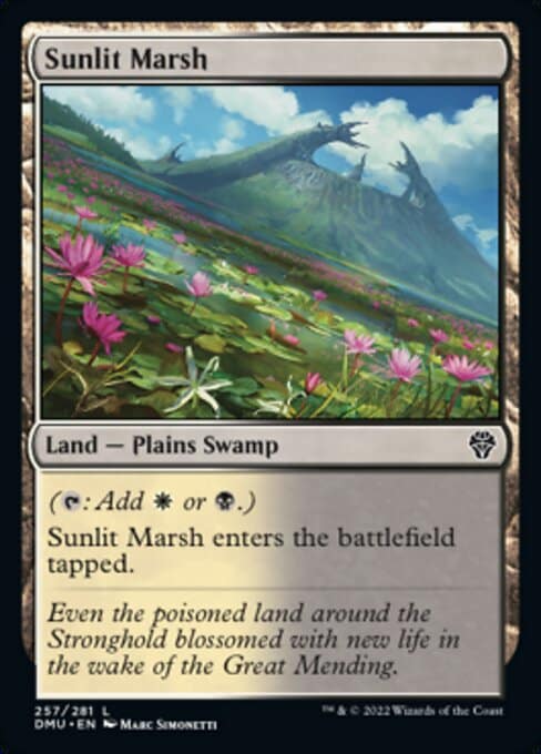 sunlit marsh
