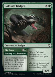 colossal badger