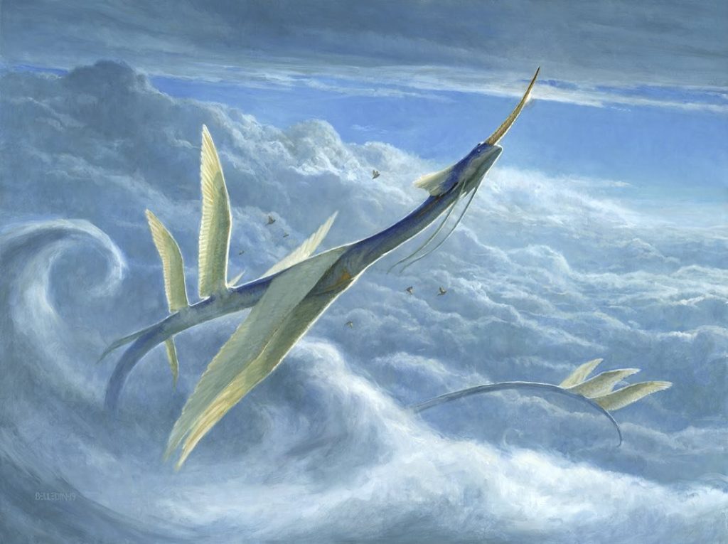 yorion, sky noodle