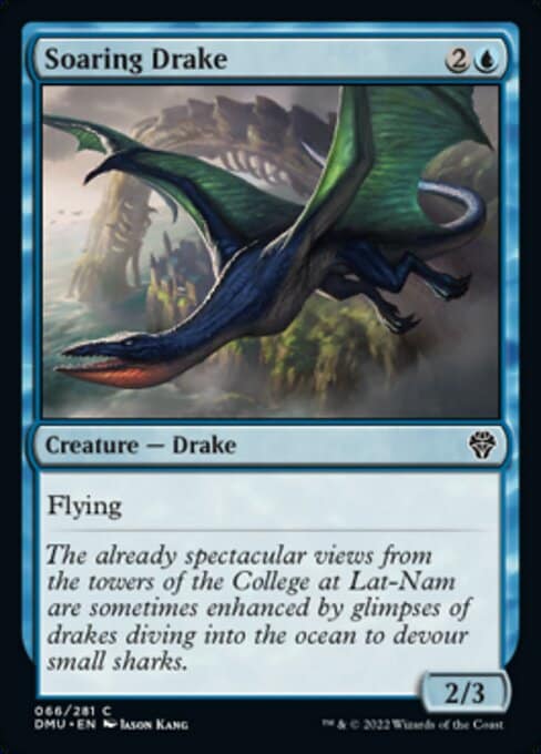 soaring drake