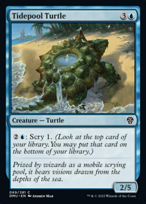 tidepool turtle