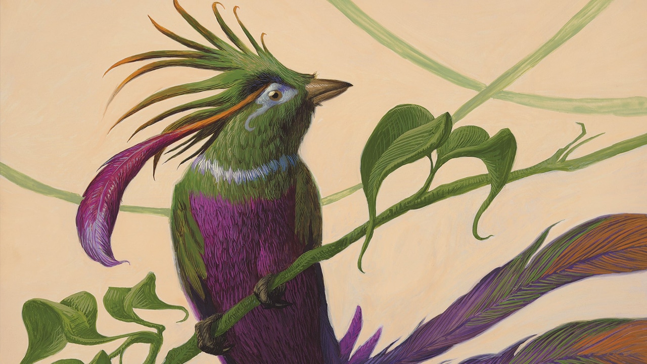 Birds of Paradise