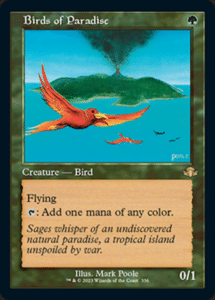 birds of paradise