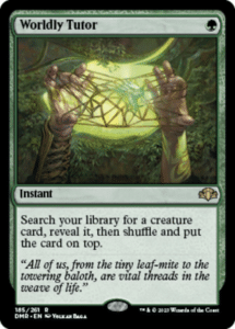 worldly tutor