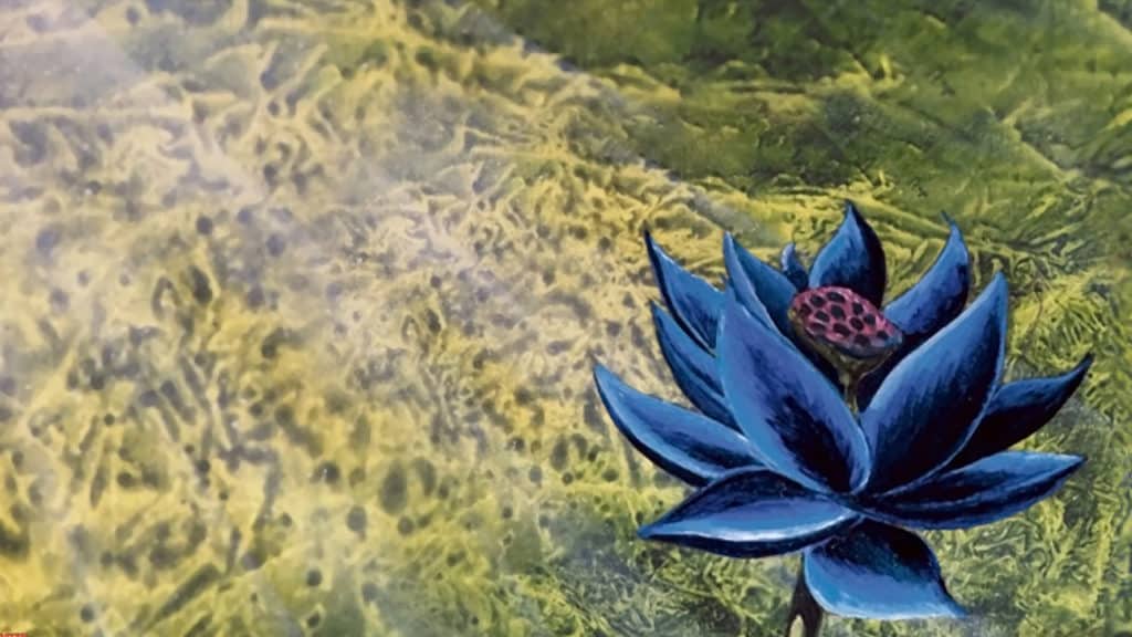 Black Lotus