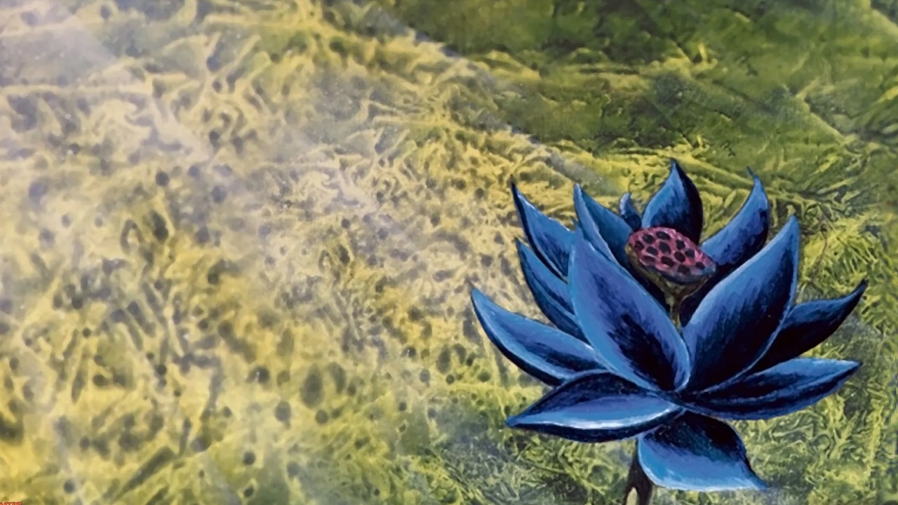 Black Lotus