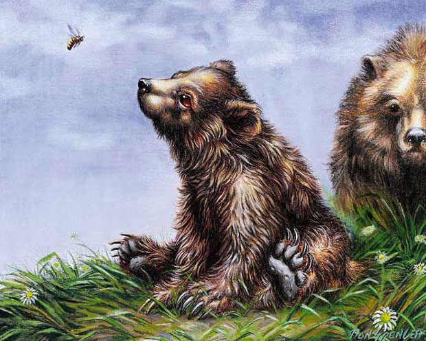 Bear Cub