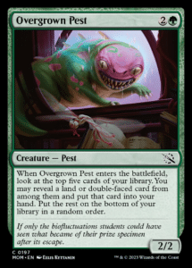 overgrown pest