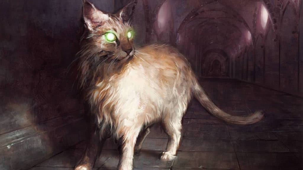 Sanctuary Cat | Dark Ascension