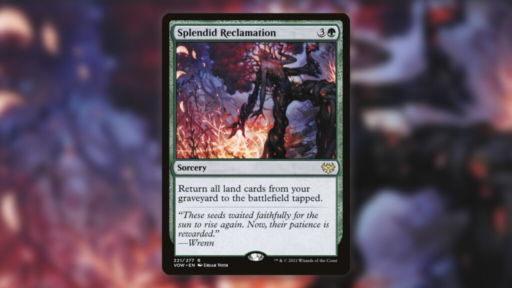 Splendid Reclamation