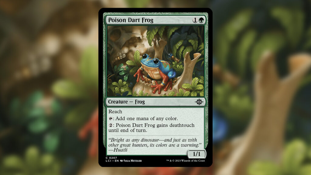 Poison Dart Frog