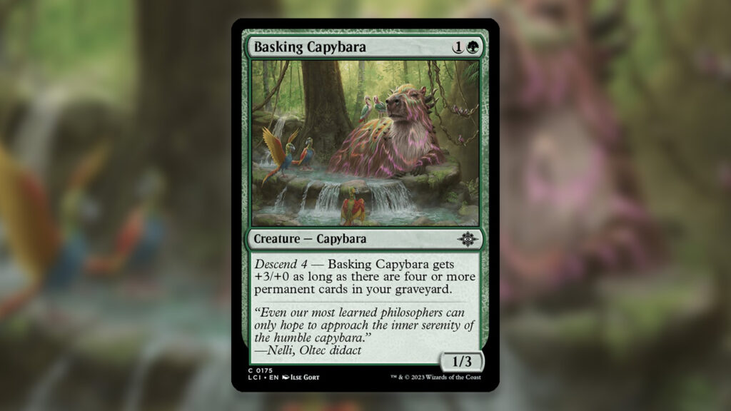 Basking Capybara