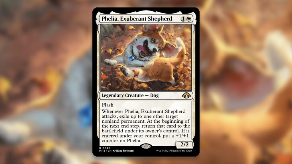 Phelia, Exuberant Shepherd