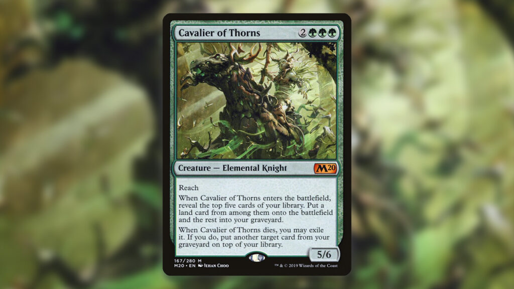 Cavalier of Thorns