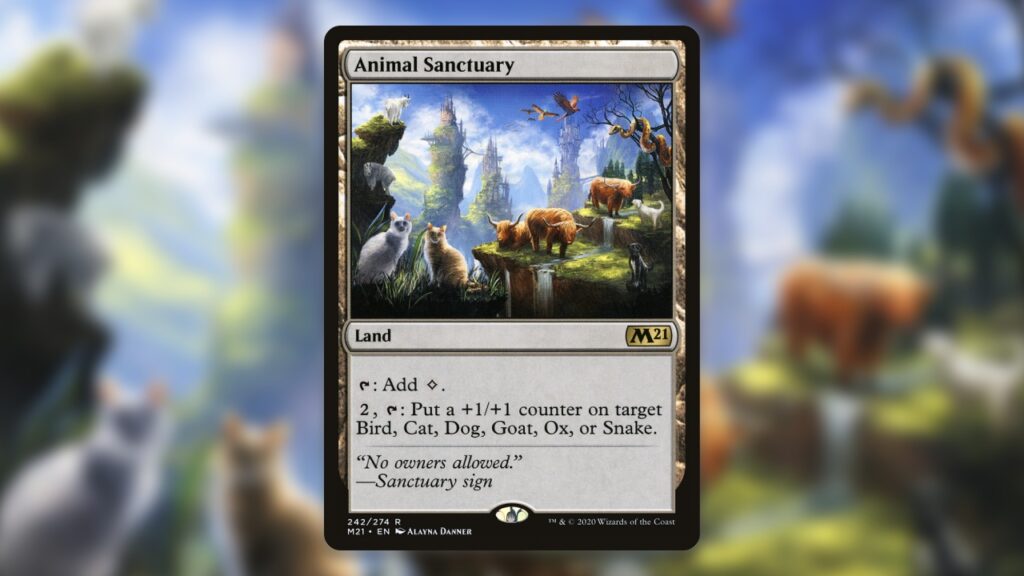 Animal-Support-Cards-MTG-Animal-Sanctuary