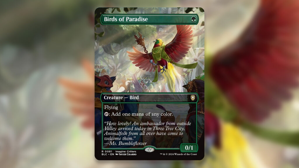 Birds of Paradise