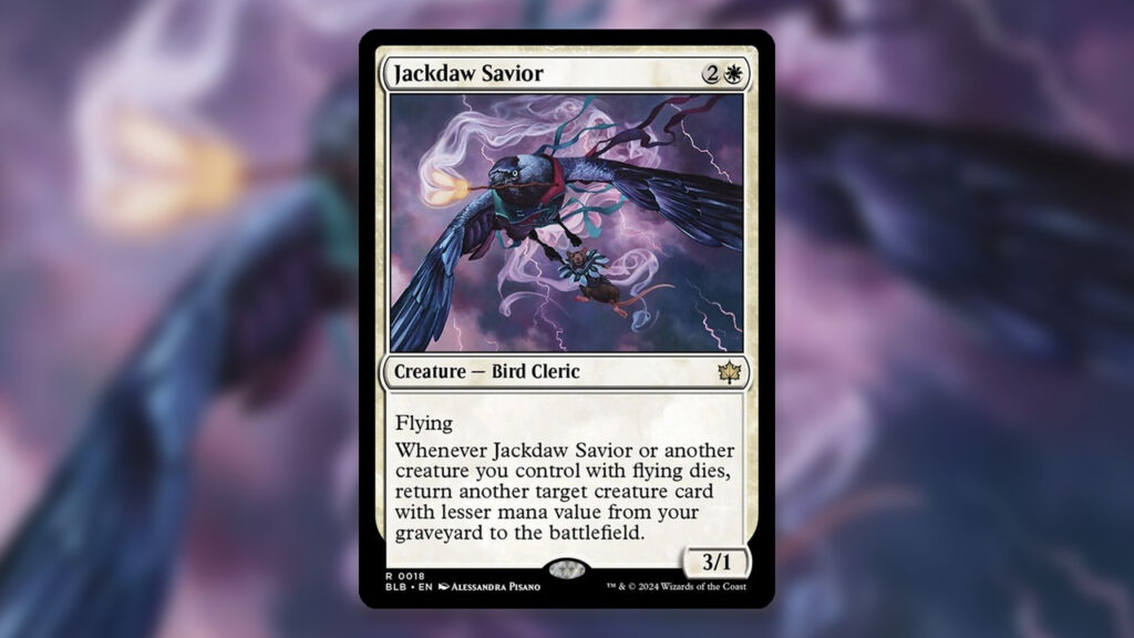 Jackdaw Savior