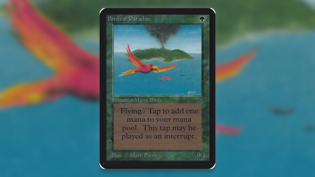 Birds of Paradise