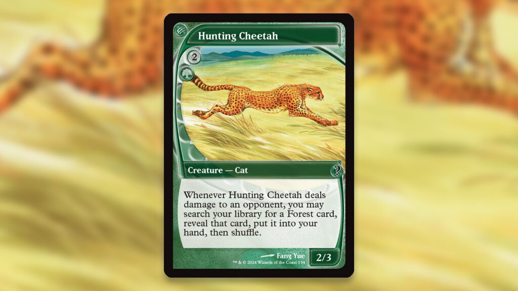 Hunting Cheetah