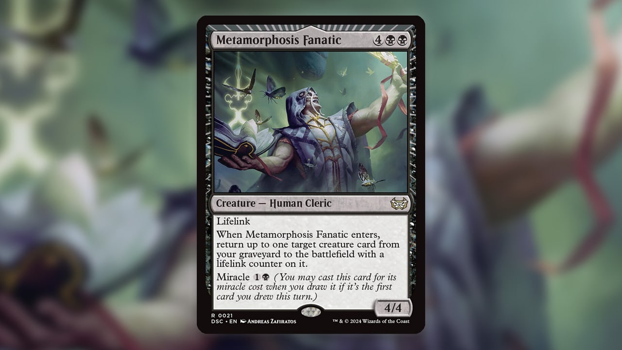 Metamorphosis Fanatic