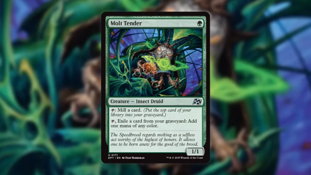 Molt Tender