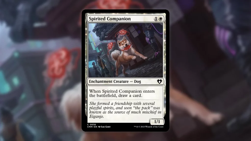 Spirited Companion