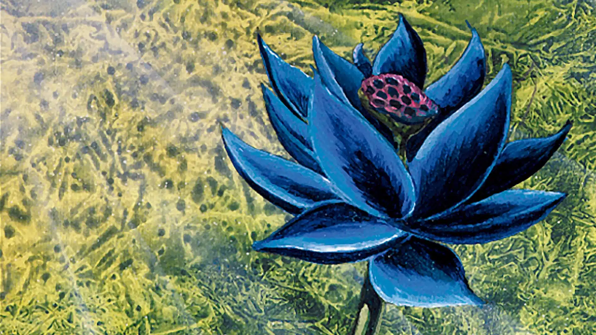 Black Lotus | Limited Edition Alpha